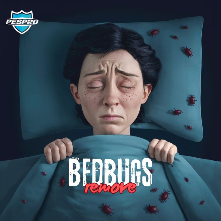 "Current State of Bed Bugs"