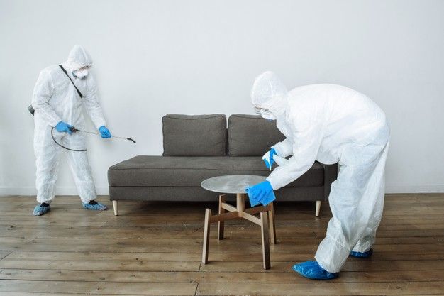 Top 10 Cleaning Tips in Nairobi